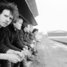 Half Man Half Biscuit