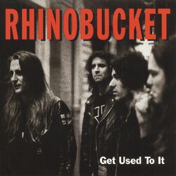 Picture of Rhino Bucket