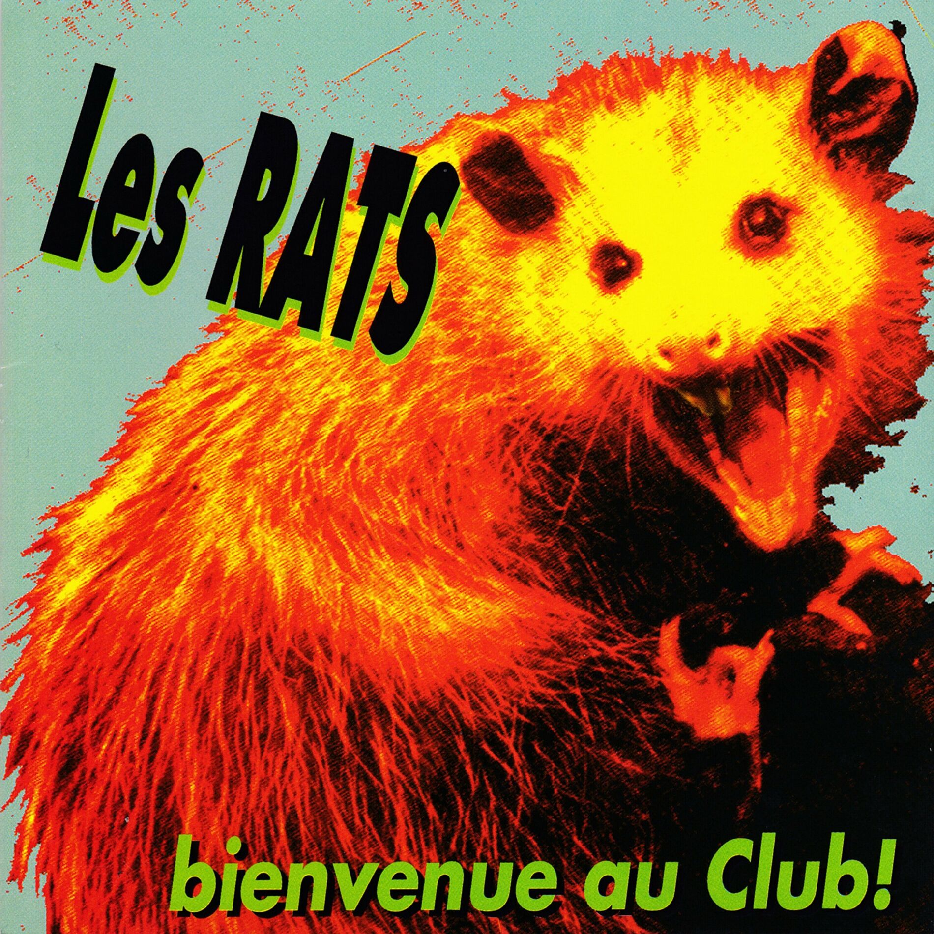 Les Rats