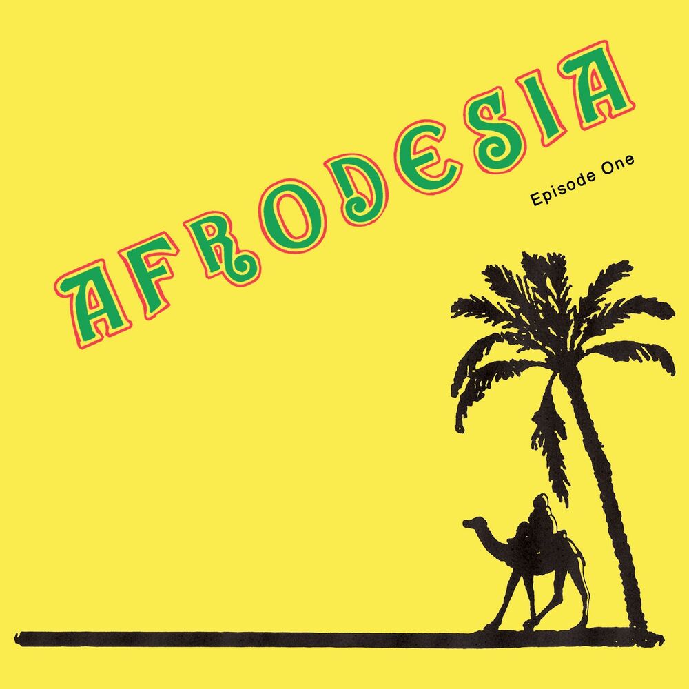Picture of Afrodesia