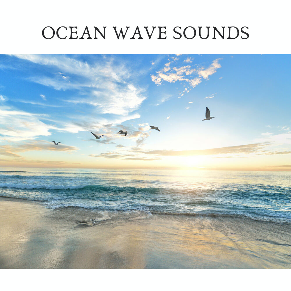 Picture of ASMR Ocean Sounds