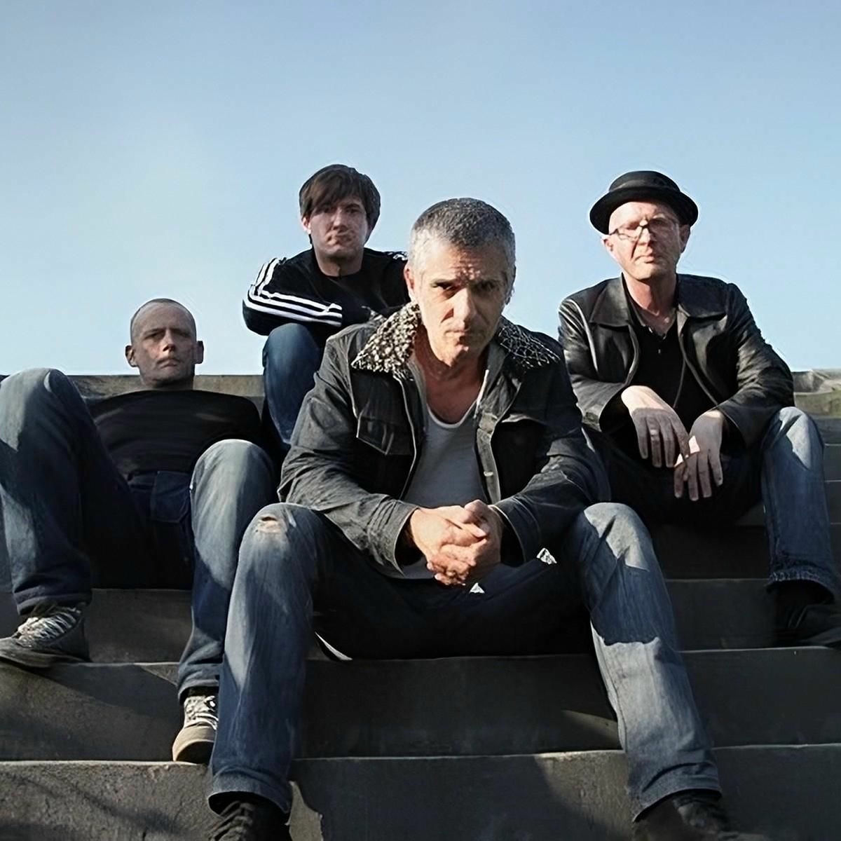 Artist picture of Toxoplasma