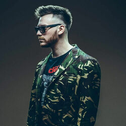 Picture of Vojke