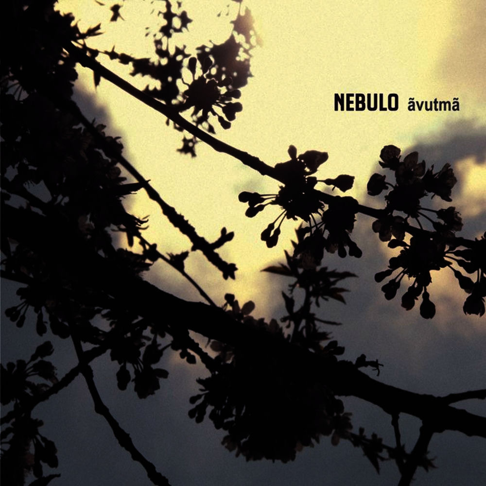 Photo de l'artiste nebulo