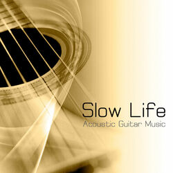 Picture of Slow Life Music Specialist