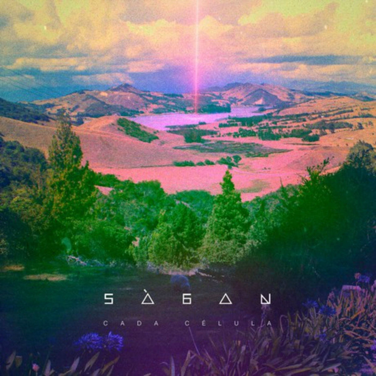 Artist picture of Sagan