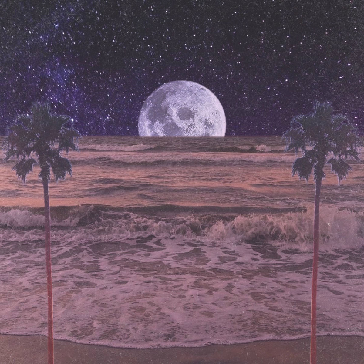 Artist picture of Kind Puppy