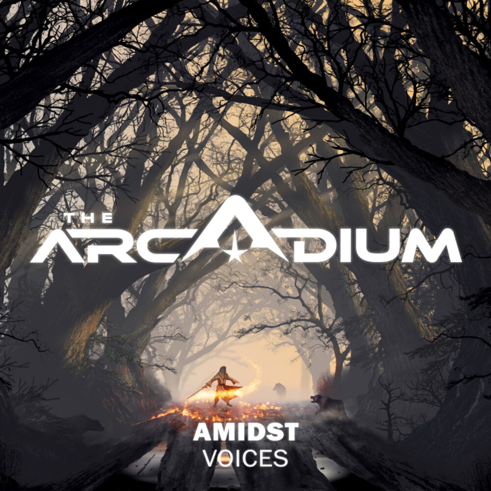 Picture of Amidst