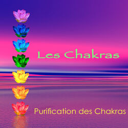 Picture of Chakras Yoga Spécialistes