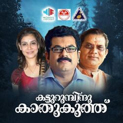 Picture of Chithra