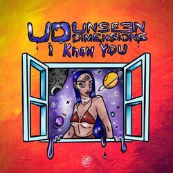 Picture of Unseen Dimensions