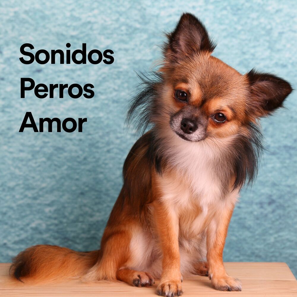 Picture of Sonidos Perros Amor