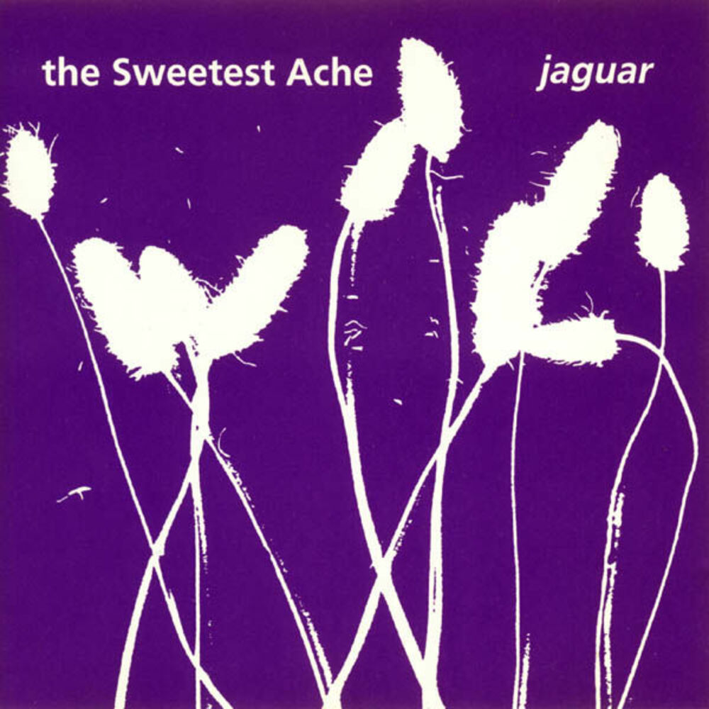 Picture of The Sweetest Ache
