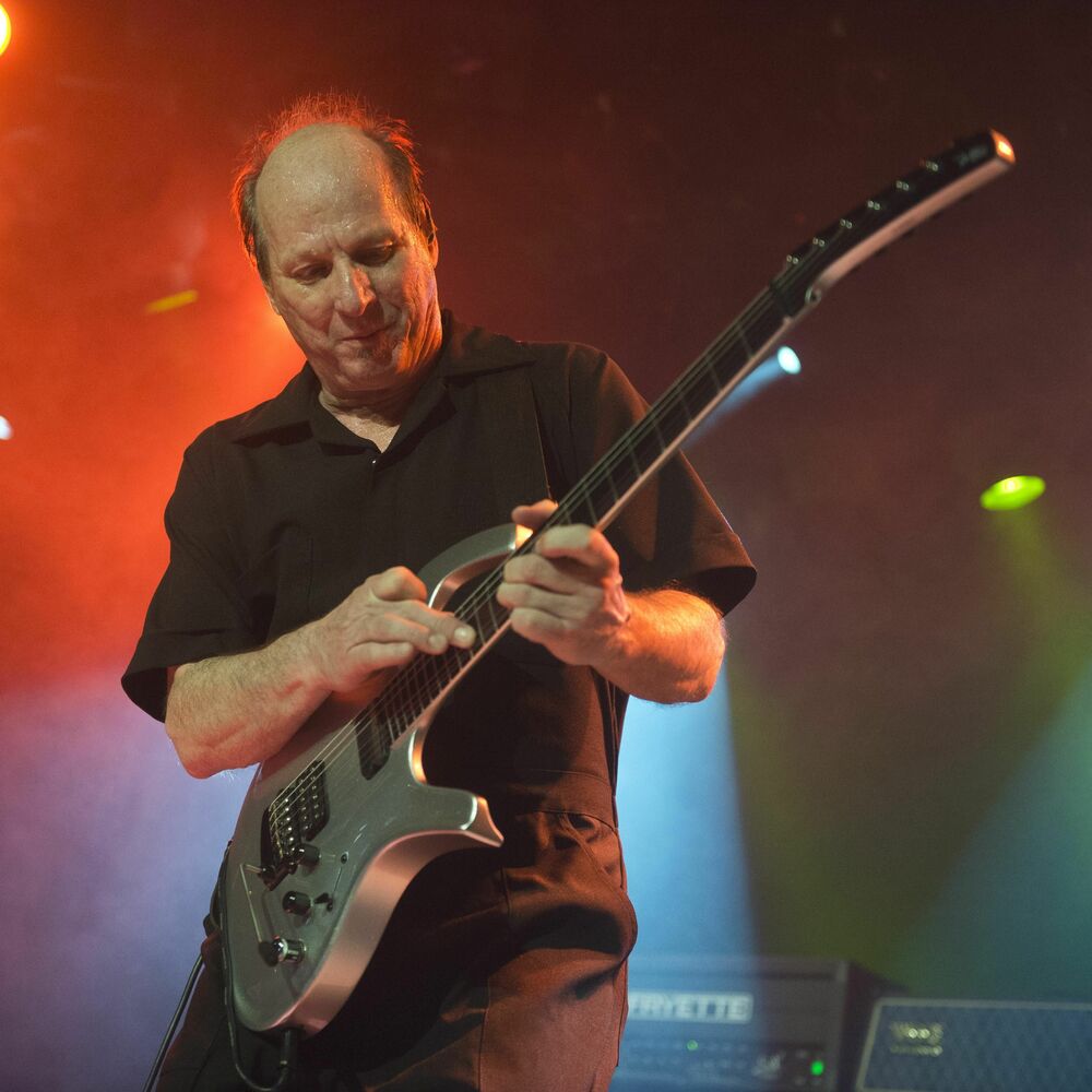 Picture of Adrian Belew