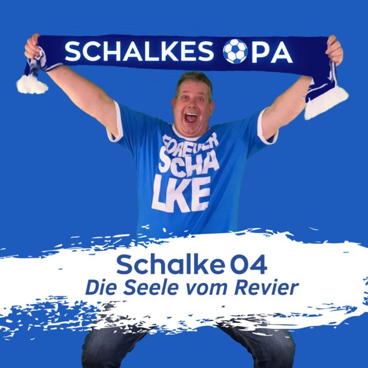 Artist picture of SCHALKESOPA