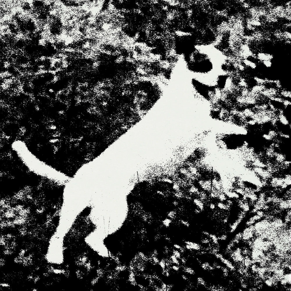 Photo de l'artiste Edmondson