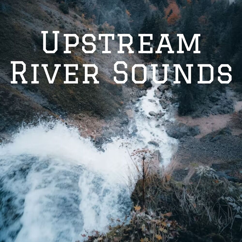 Picture of Deep Sleep Nature Sounds