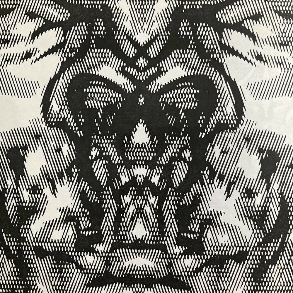 Photo de l'artiste Kai Meara