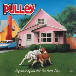 Pulley