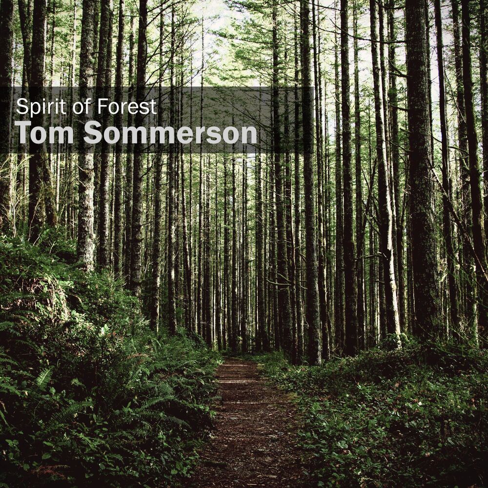 Picture of Tom Sommerson