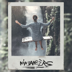 Picture of Ninjaneers