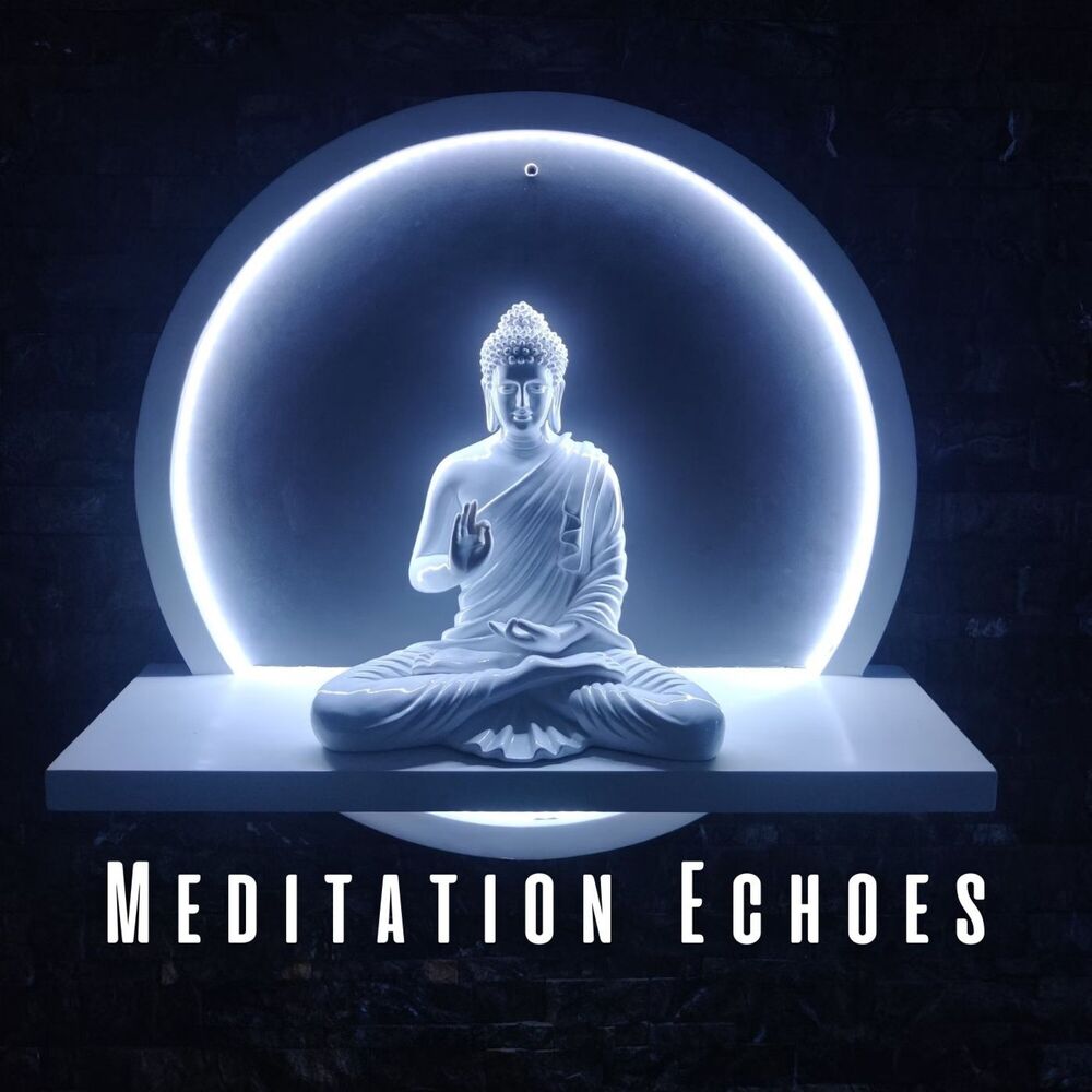 Picture of The Meditation Verve