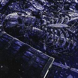 Picture of Leftoz