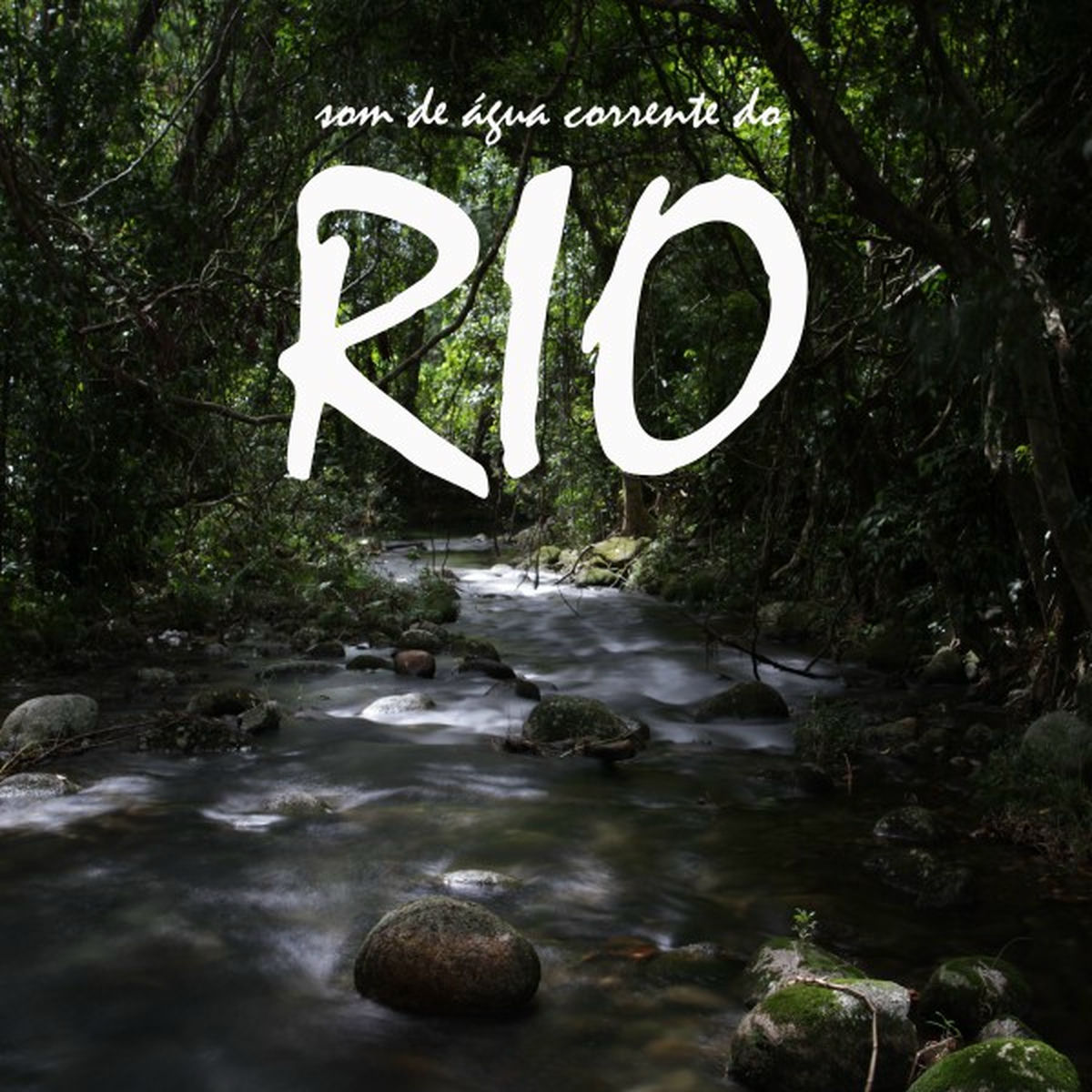 Sons da Natureza Projeto ECO Brasil
