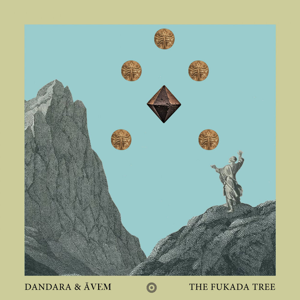 Picture of Dandara, Avem