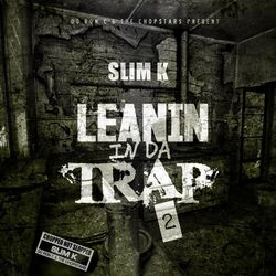 Picture of Slim K