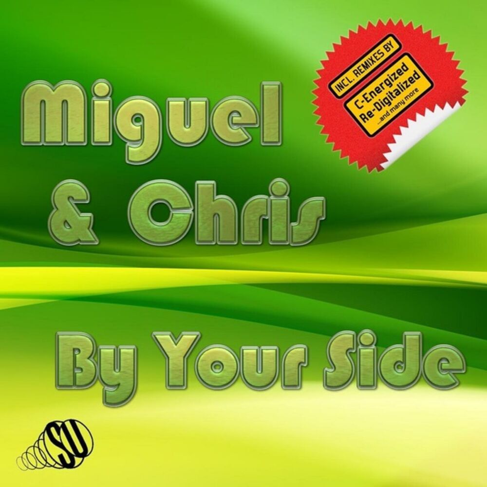 Picture of Miguel & Chris