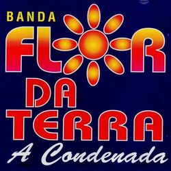 Picture of Banda Flor da Terra