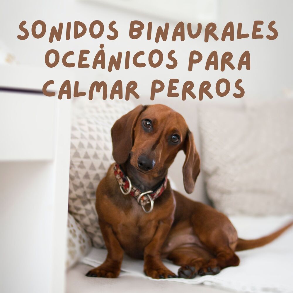 Picture of Océano de relax