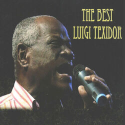 Picture of Luigi Texidor