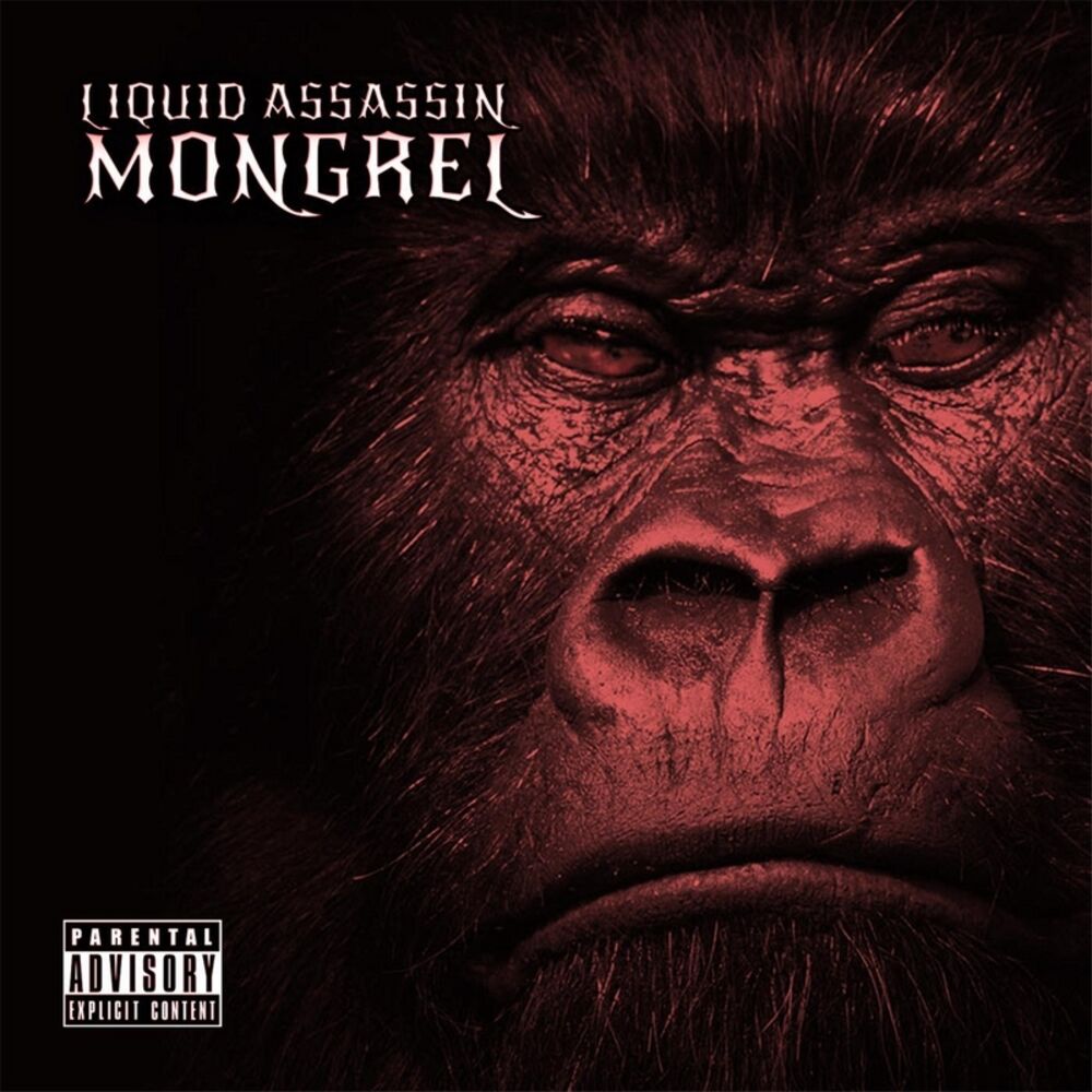Picture of Liquid Assassin