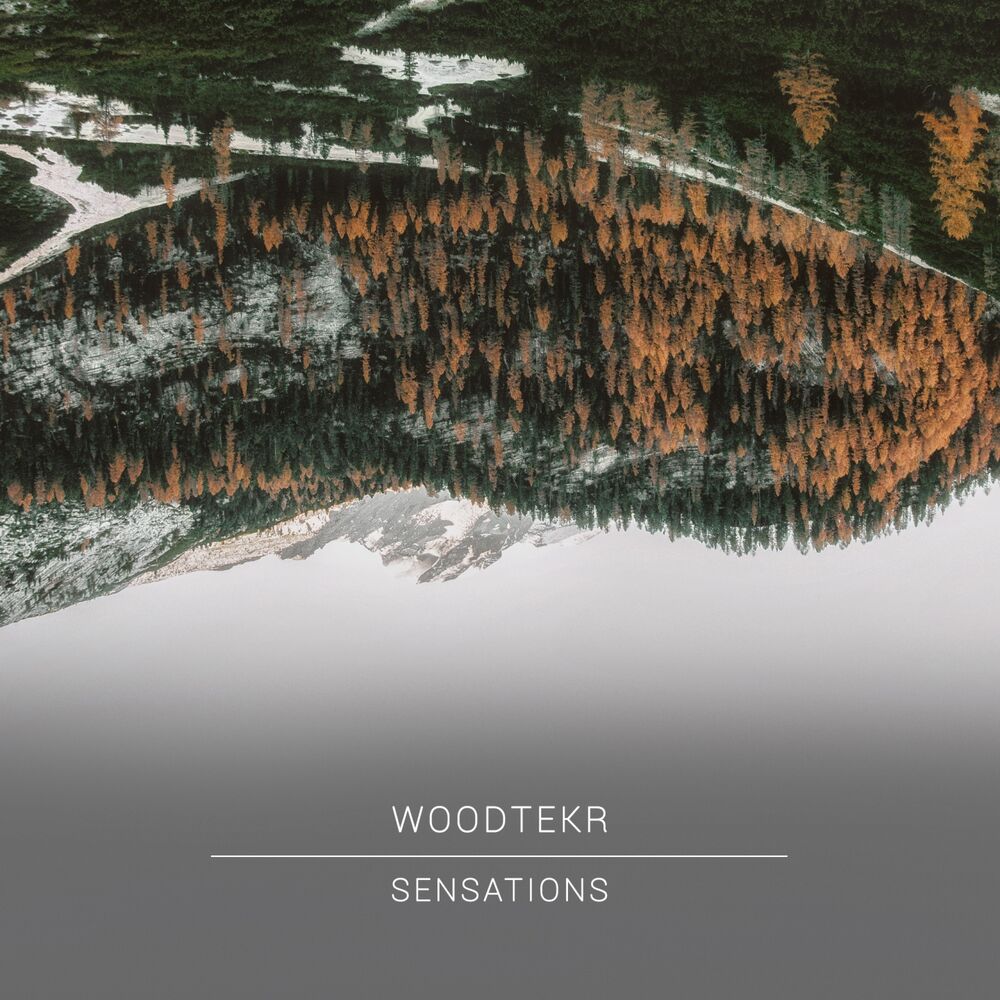 Picture of Woodtekr