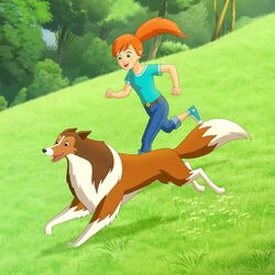 Picture of Lassie