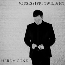 Picture of Mississippi Twilight