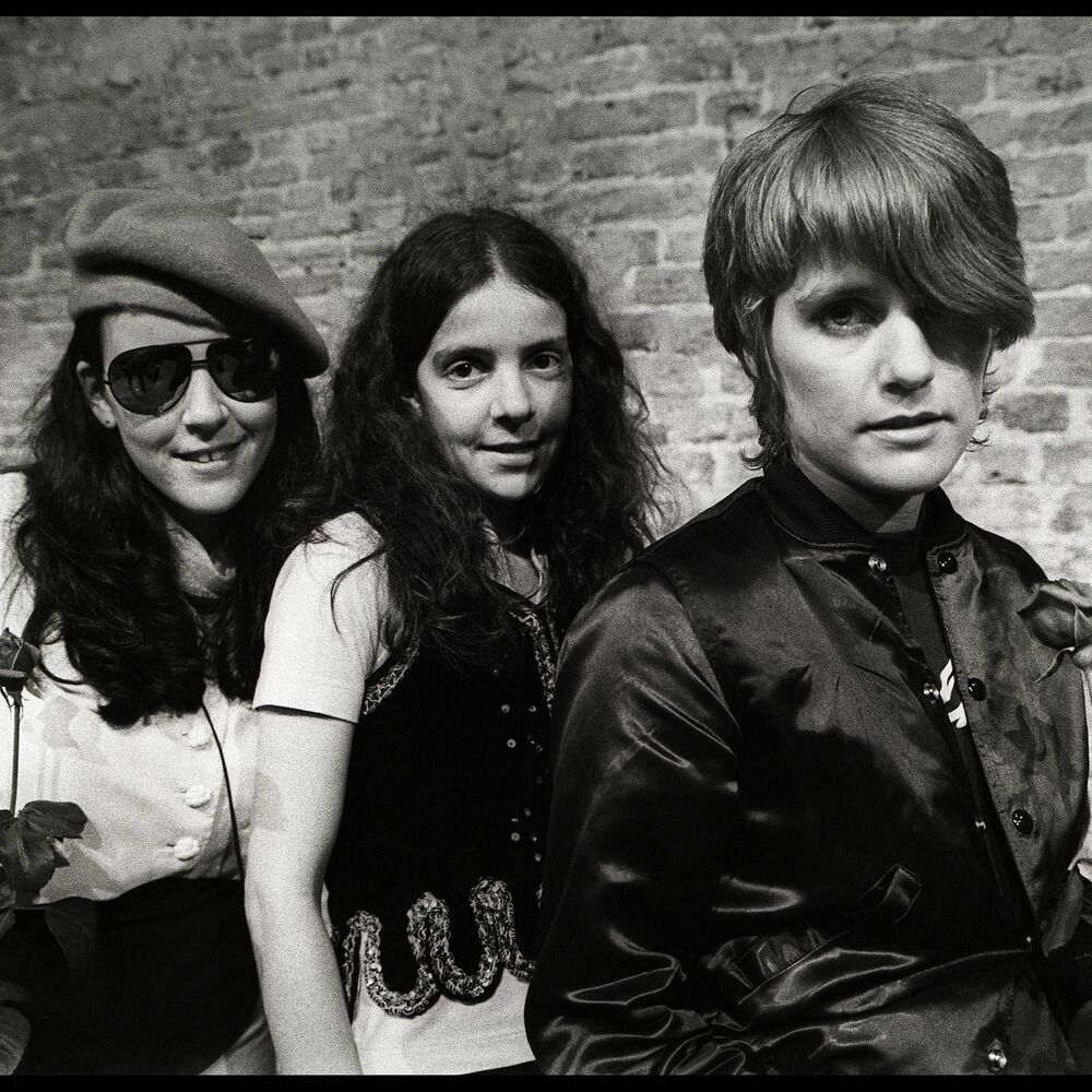 Picture of The Roches