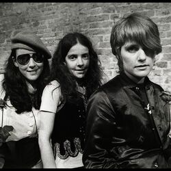 Picture of The Roches