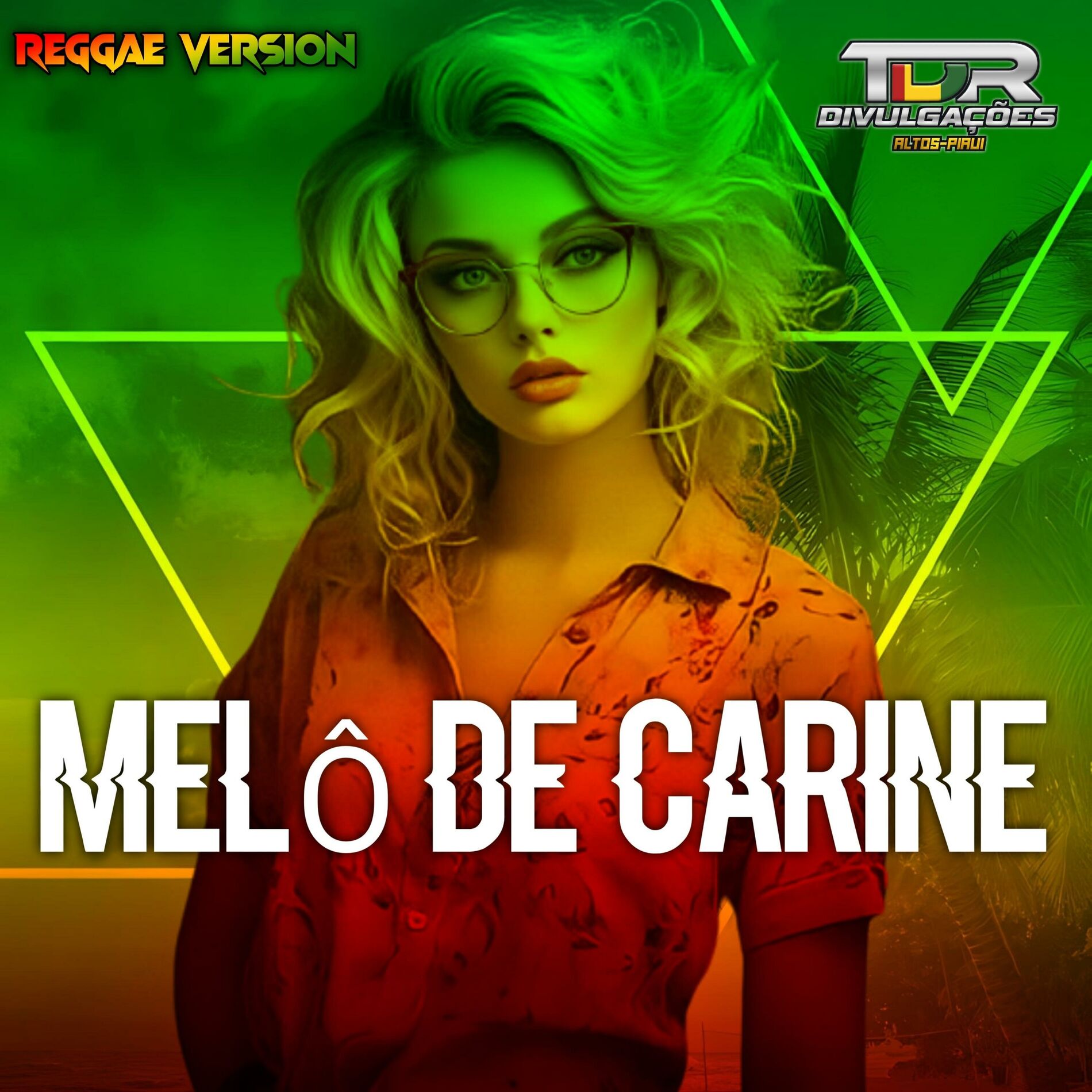 TDR DIVULGAÇÕES