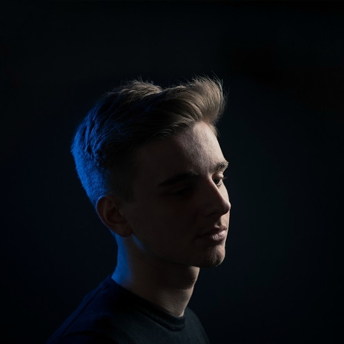 Artist picture of Stupead