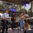 Elephant Revival