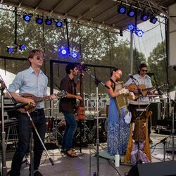 Picture of Elephant Revival