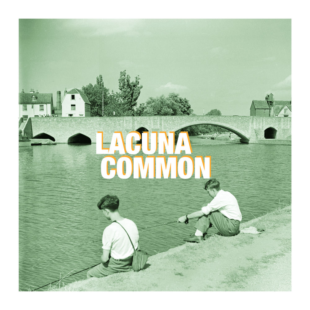 Lacuna Common
