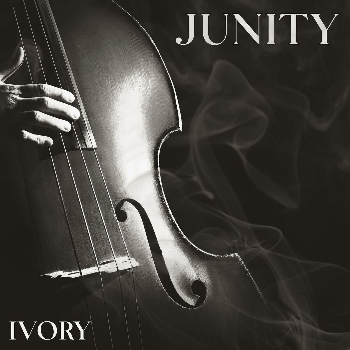 Junity