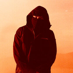 Picture of Highup