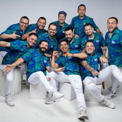 Picture of Banda Fiesta