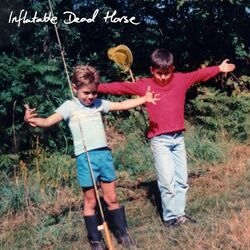 Picture of Inflatable Dead Horse