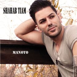 Picture of Shahab Tiam